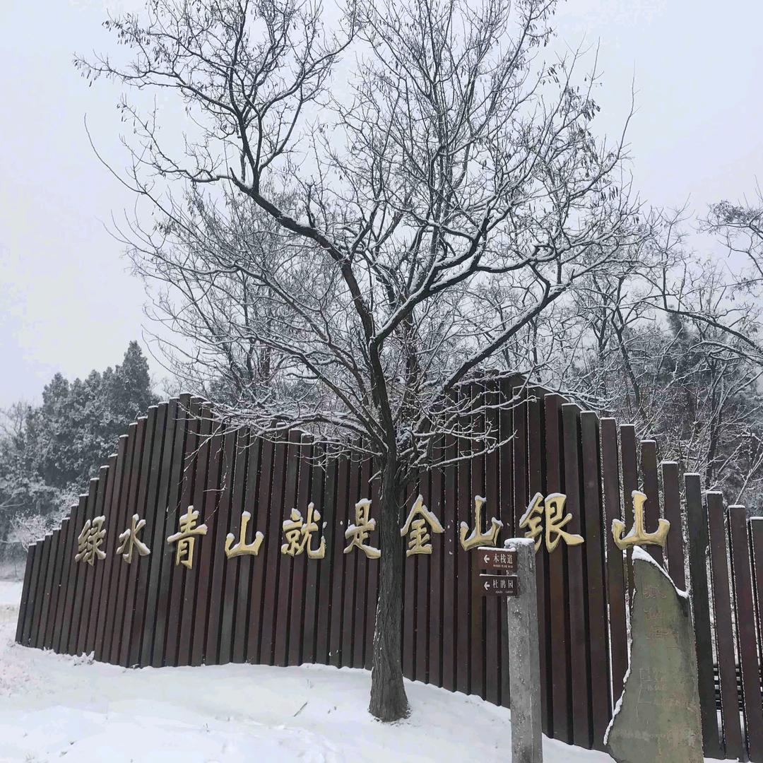 包容