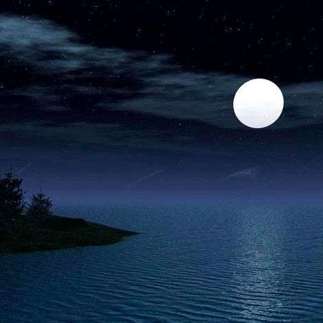 今夜无眠~~皇汉