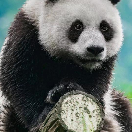 人生无常