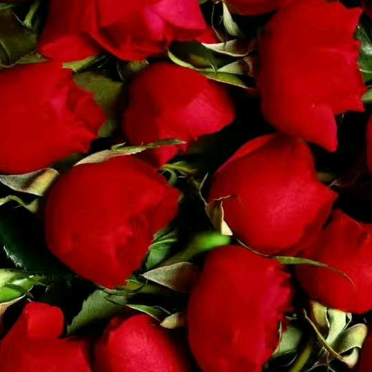 一切随缘，拒绝私聊