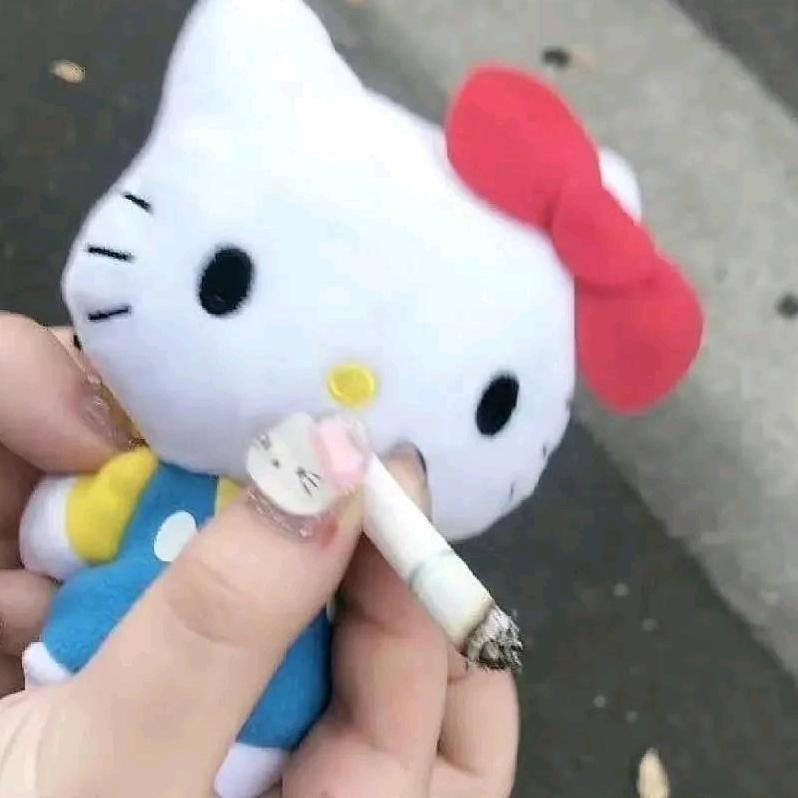 糯米糍猫猫卷