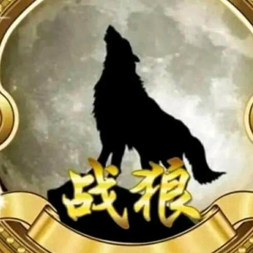 👑战狼