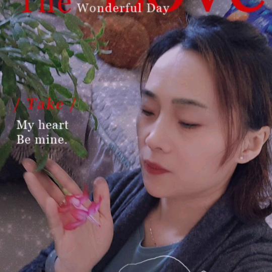 WH昊