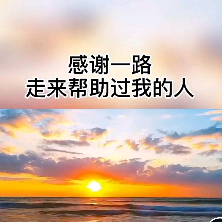 雅迪电动车(凤南街店)专用号