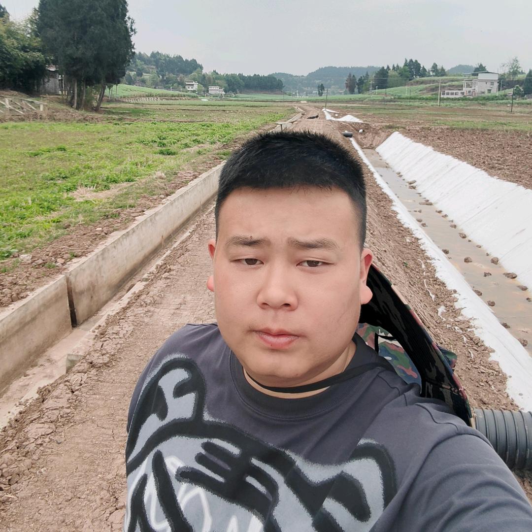 地主傻大个
