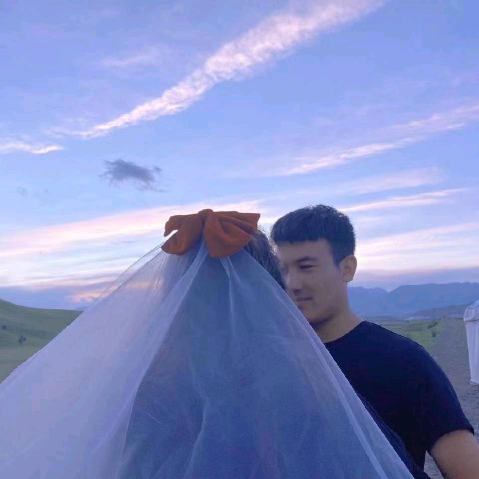 新疆风吹草地优选