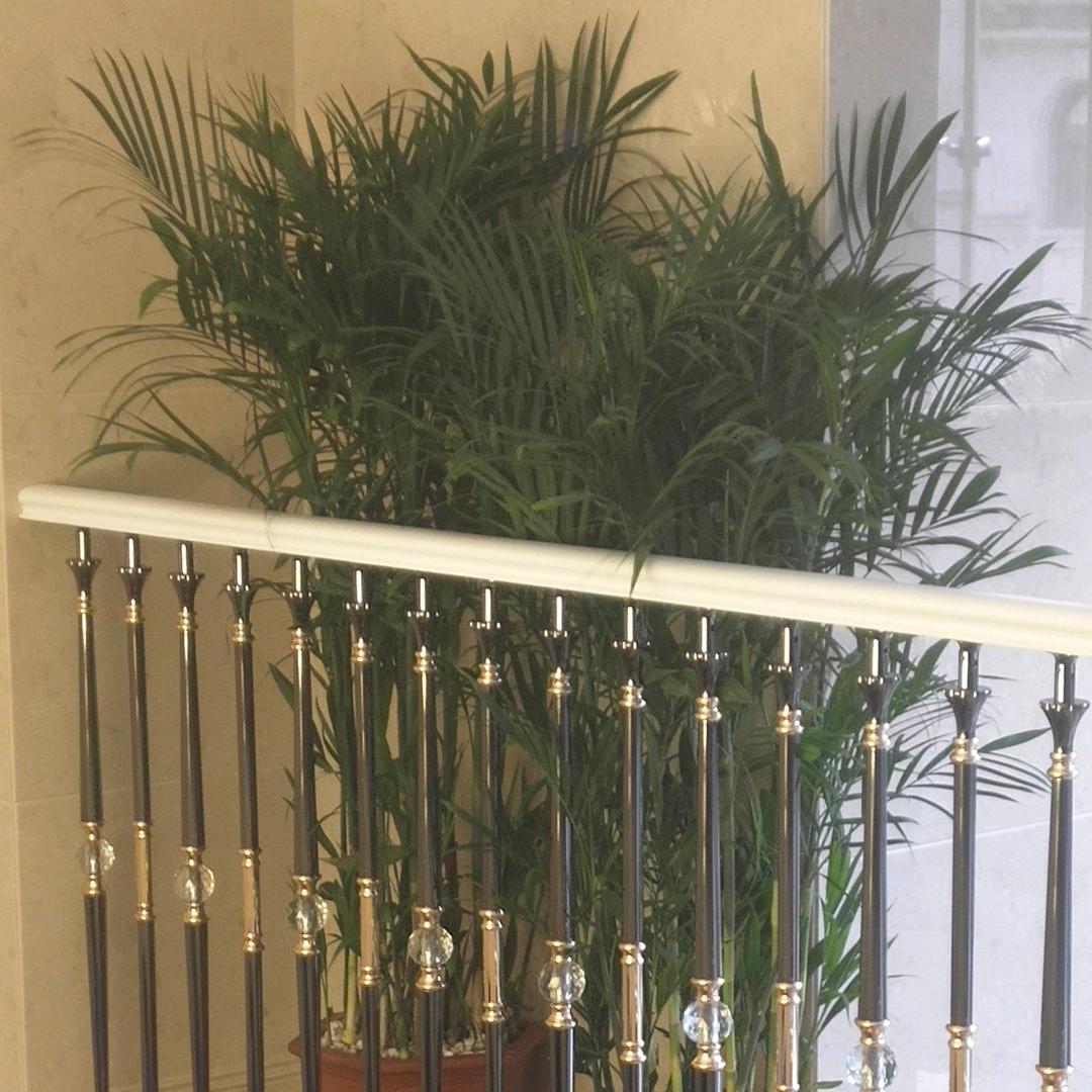 安海农村生活小蔡