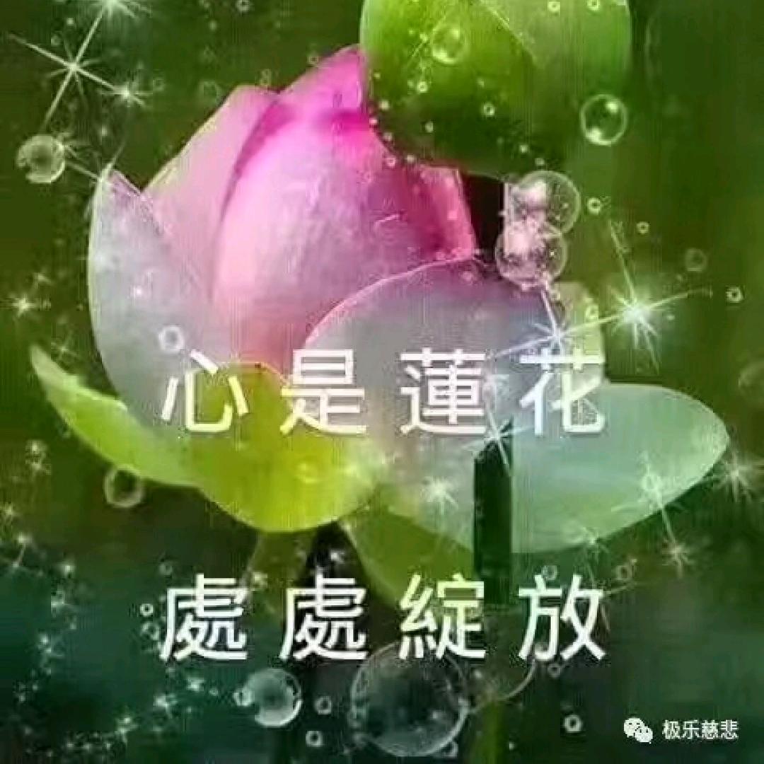 👍👍幸运👈👈，