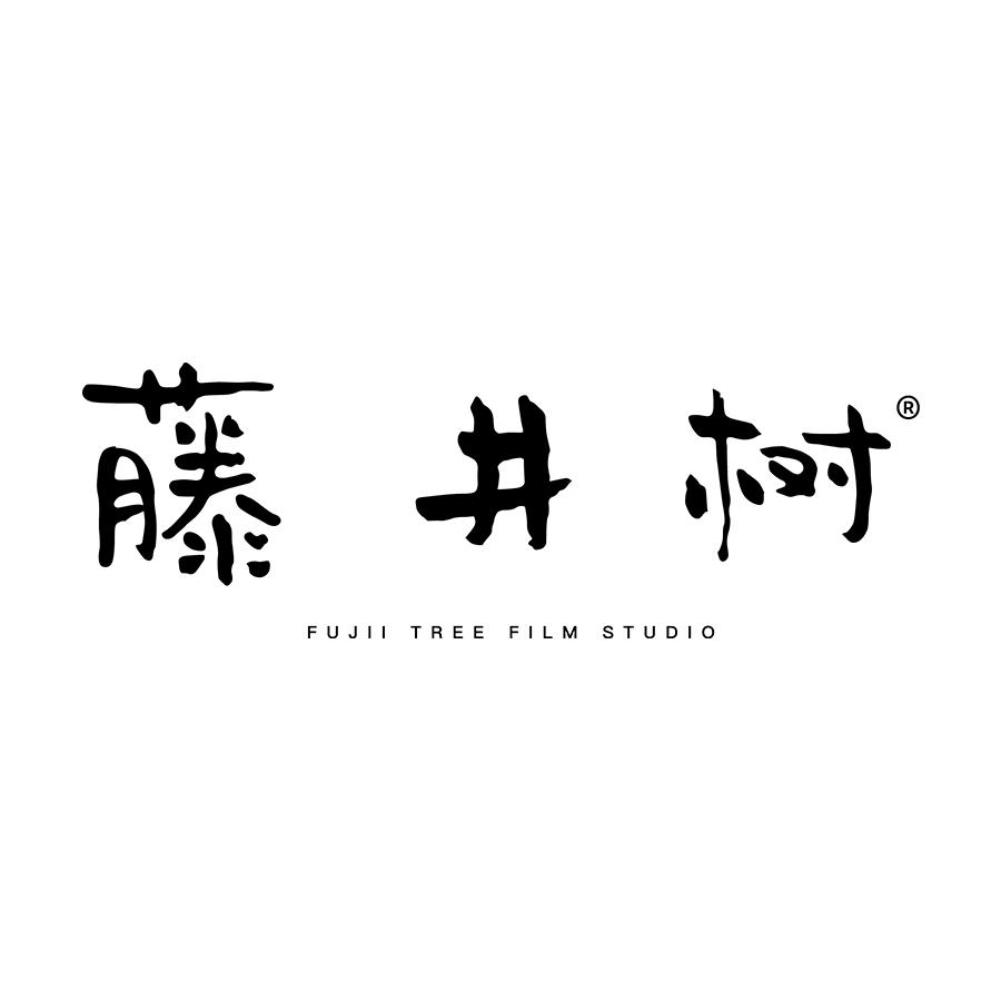 藤井树