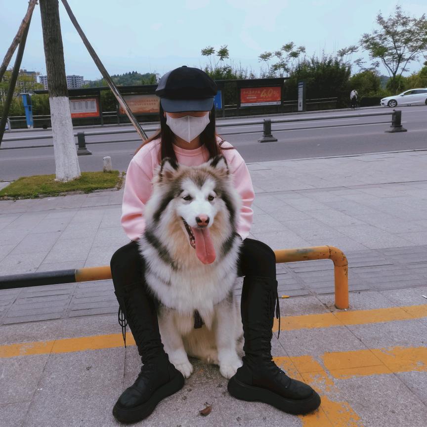 亦桉凝丸