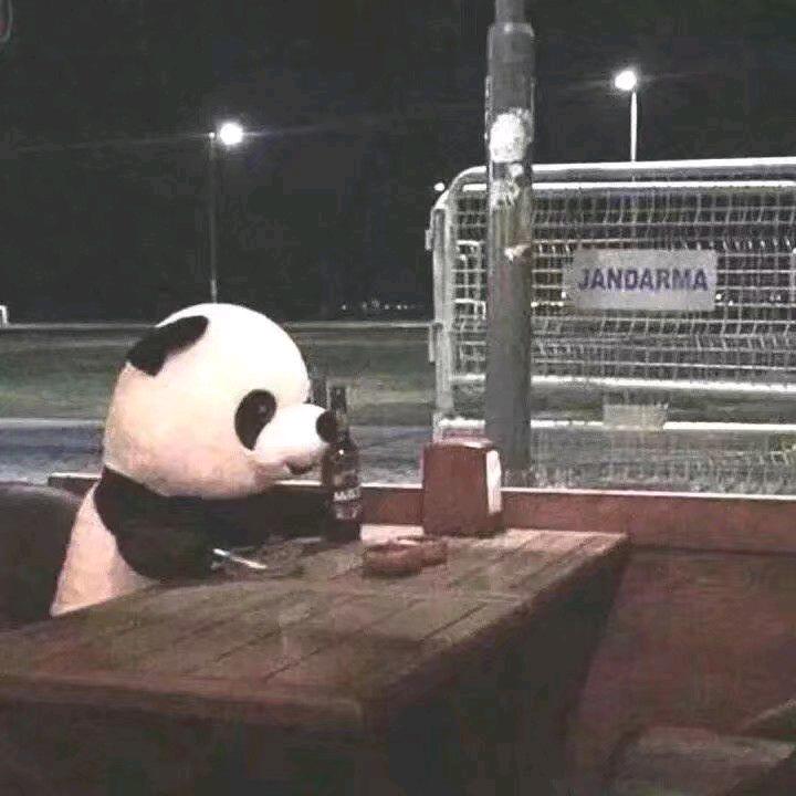 永不凋谢的米兰