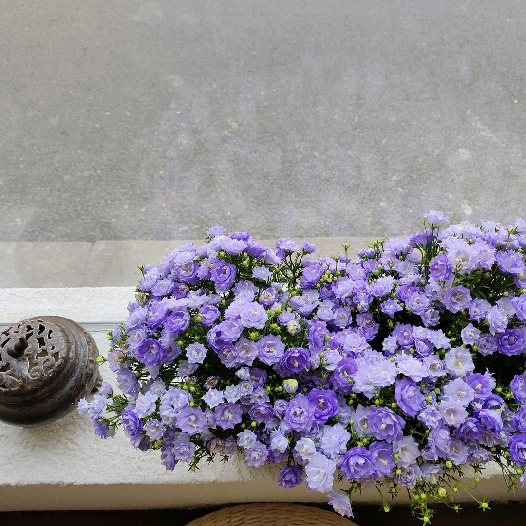 以茶会友——爱茶人