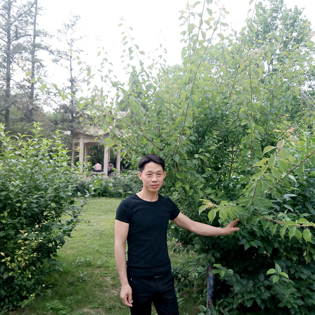 平安喜乐