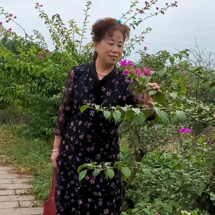罗玉兰