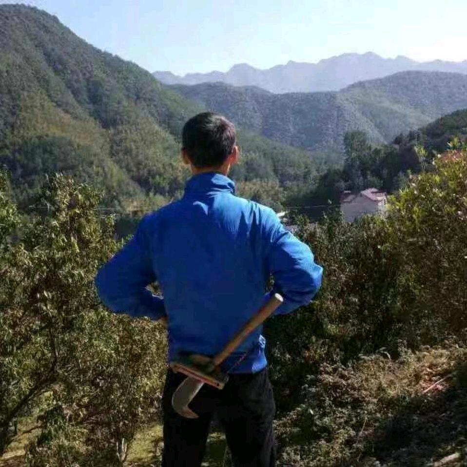 柴刀侠