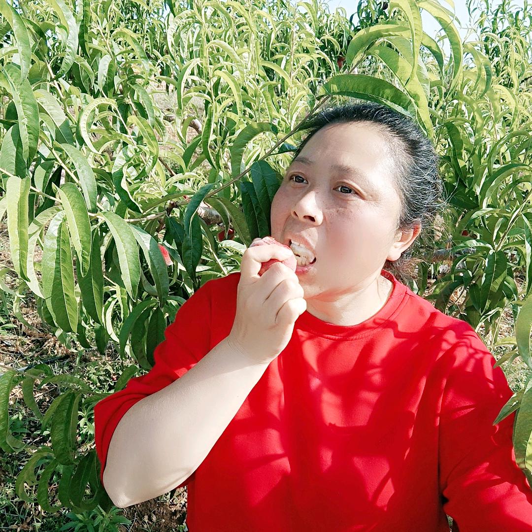 王杨农业（助农帮农）