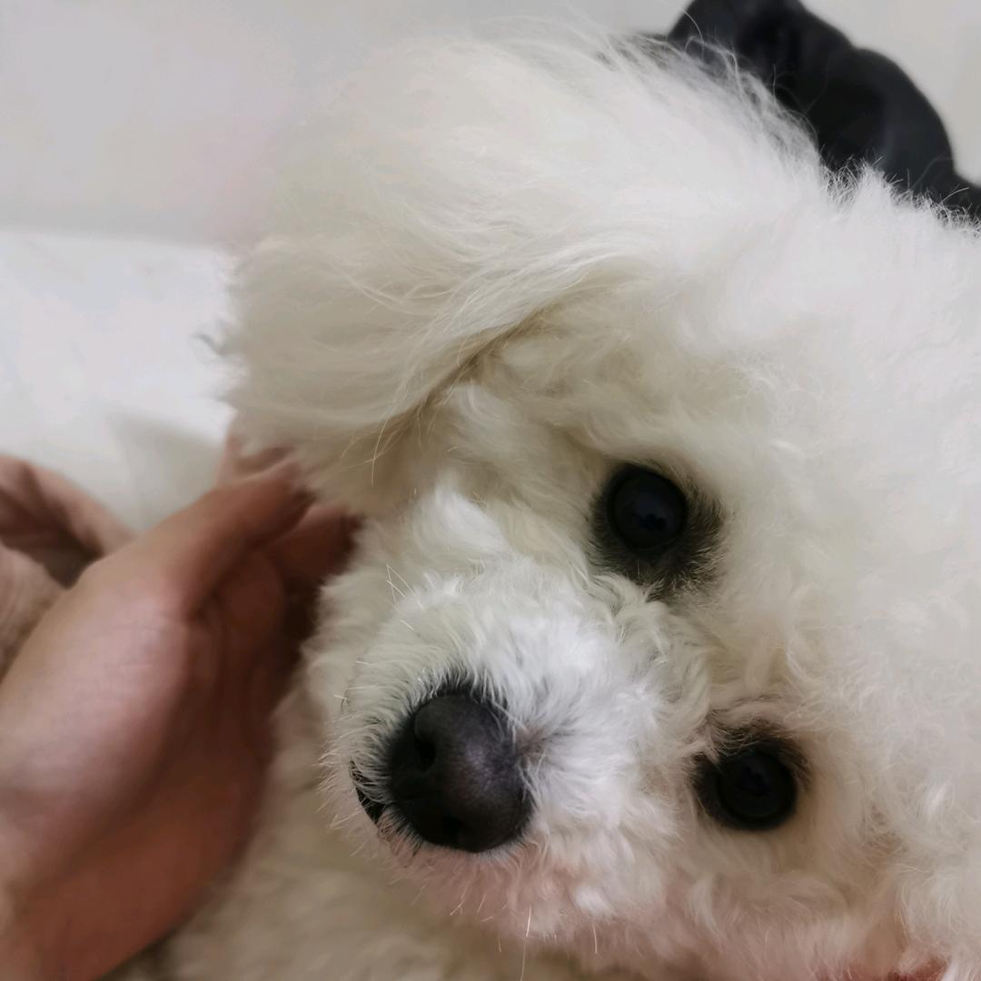 韩韩