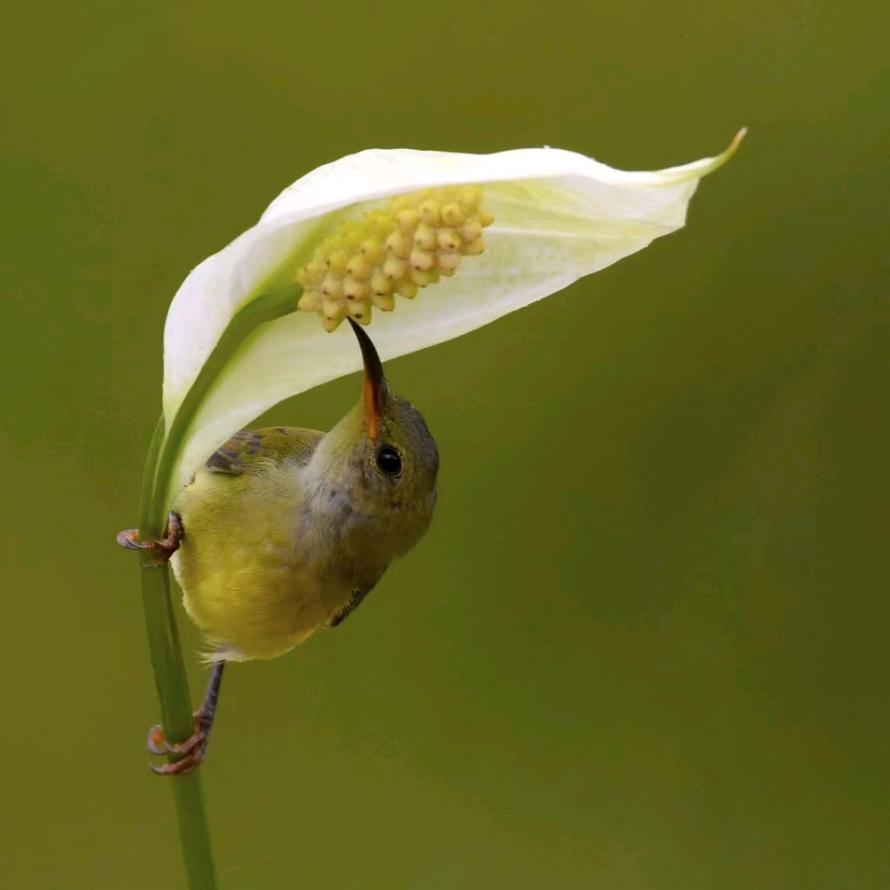 用户春暖花开