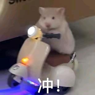 往序家服饰