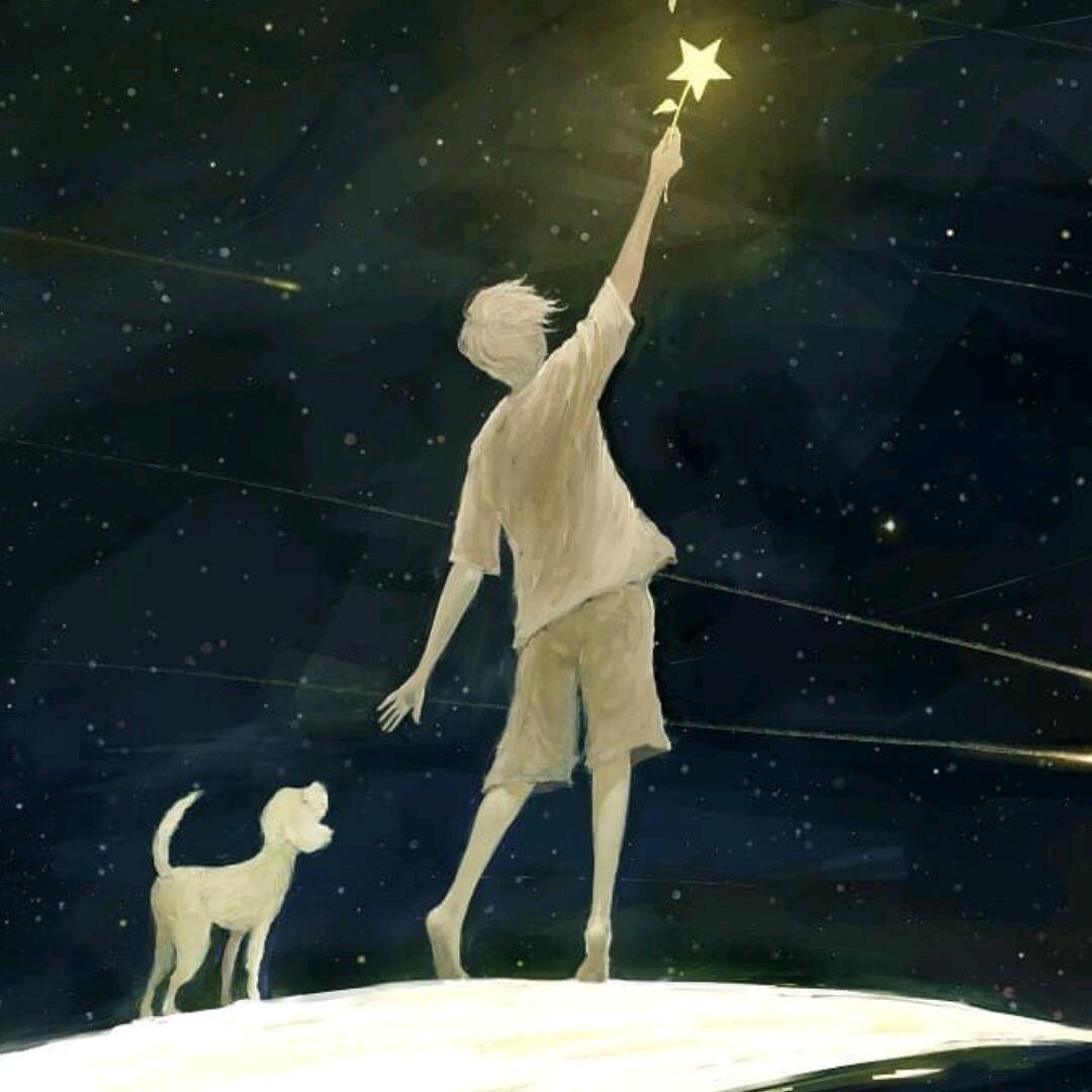 真的不爱吃鸡蛋
