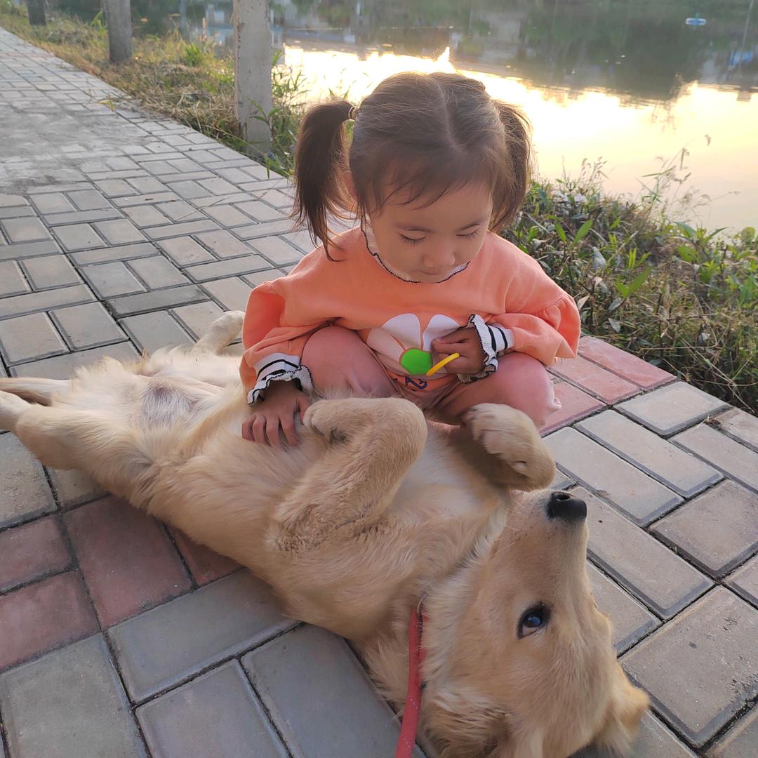我是艺艺吖