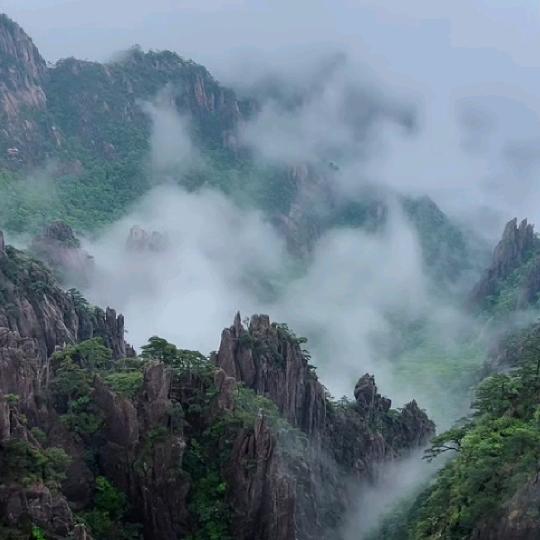 钟玲珑