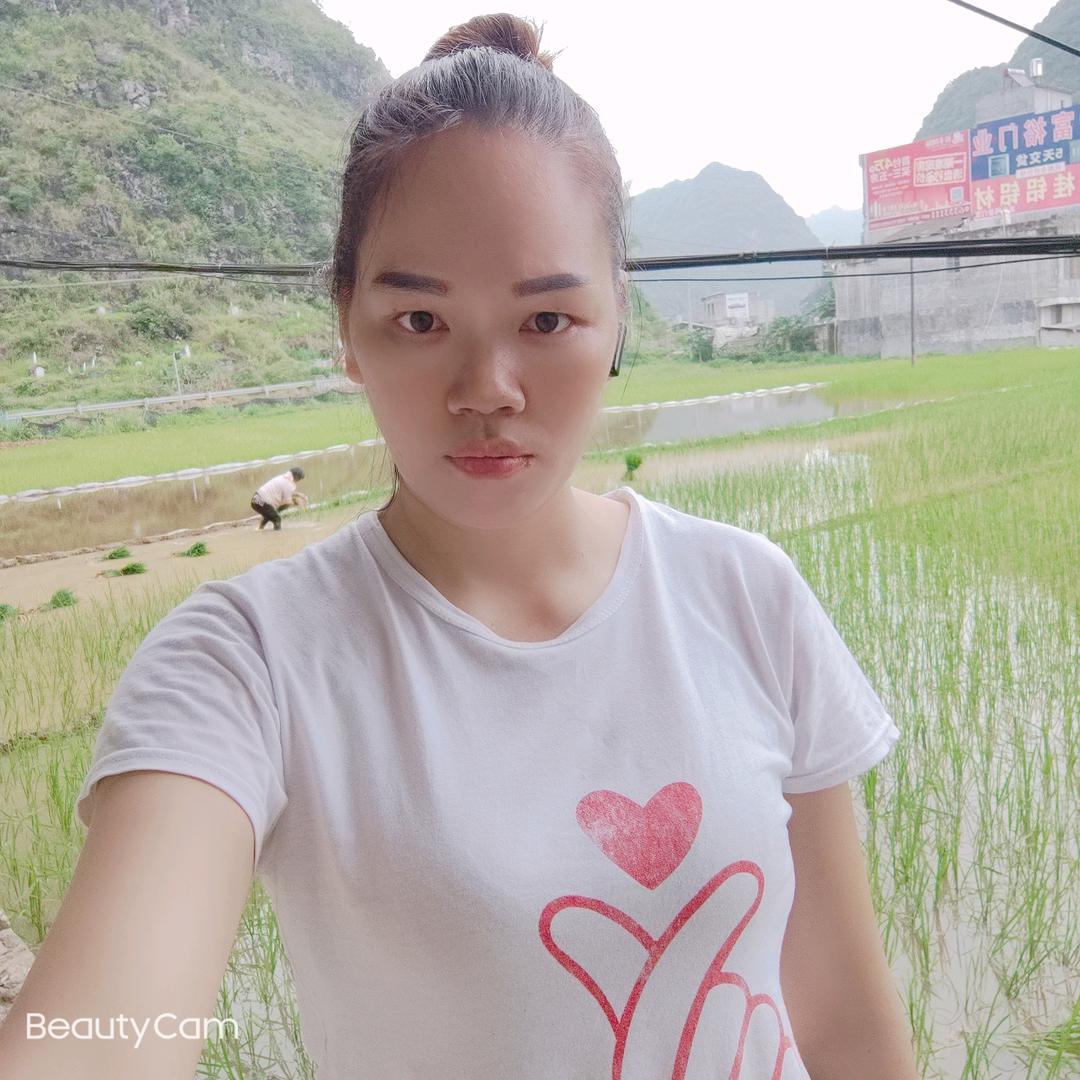 小凤