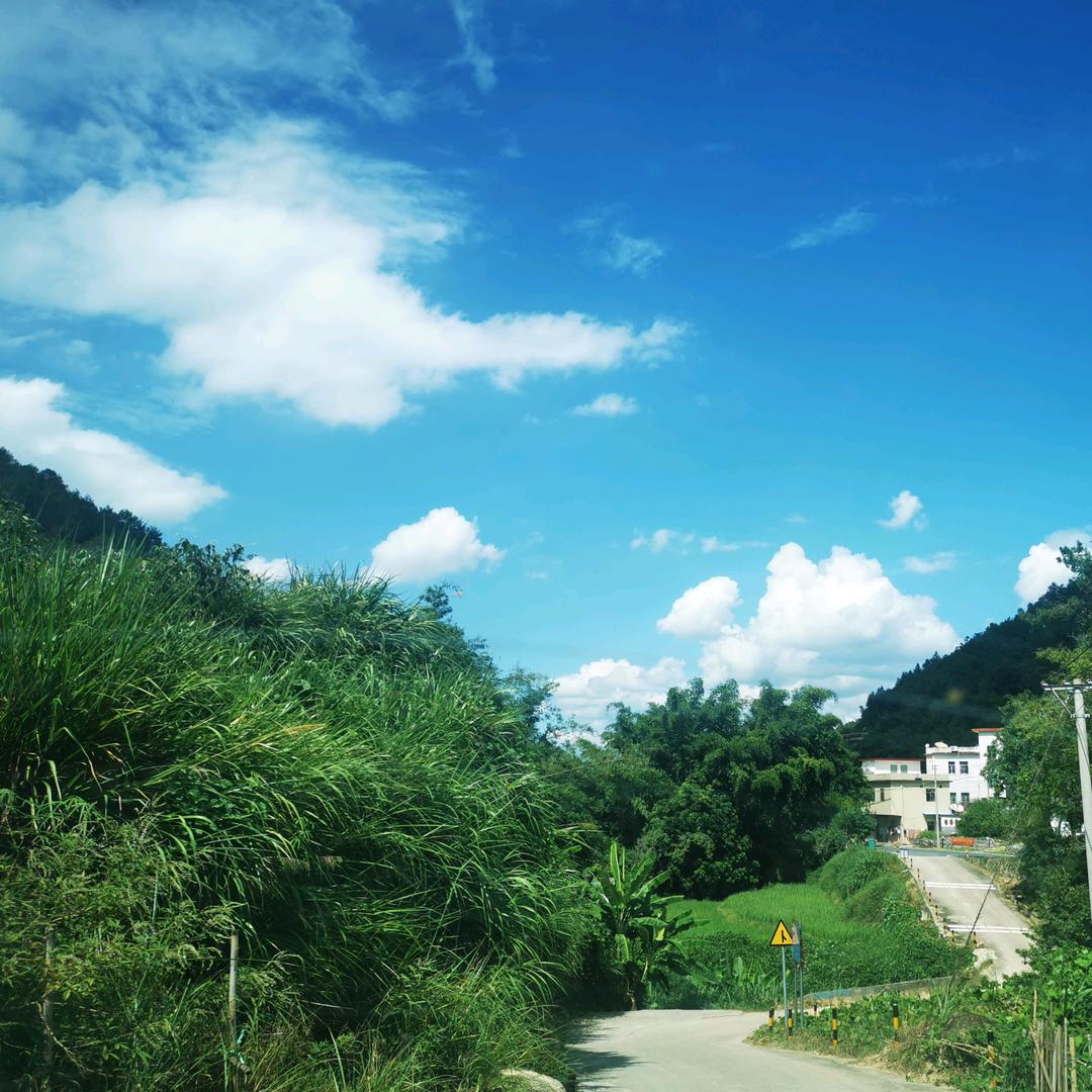༄ཻཎཽཾ།ཾ蜗牛།ཾནཽཾ༄ཻ