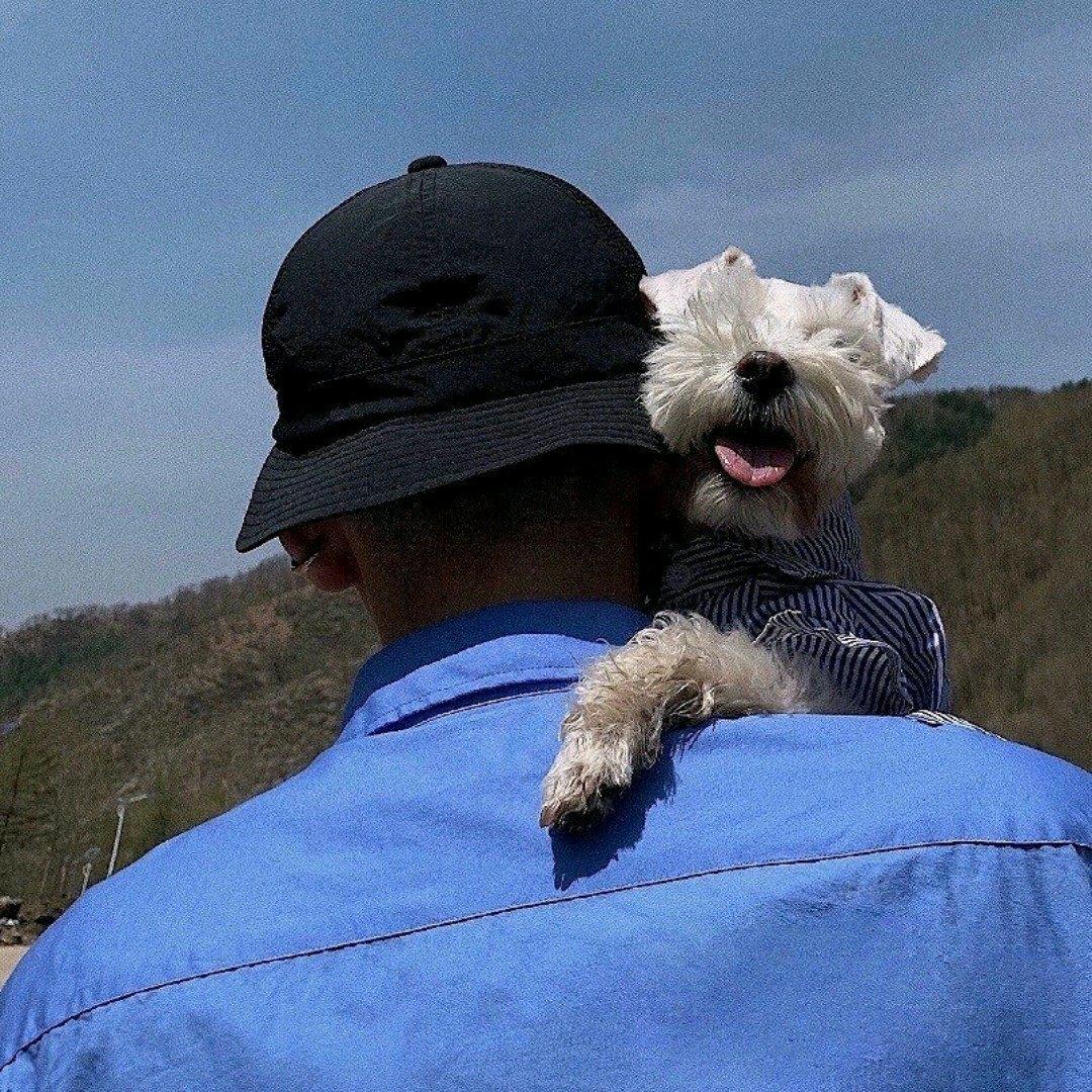 一生平安，严卫
