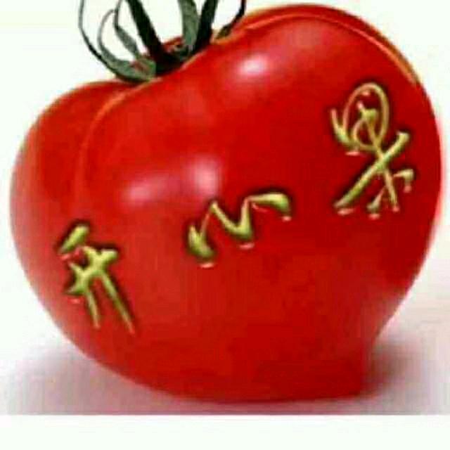 天天好想你有你最好