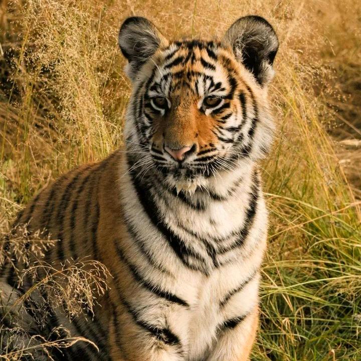 谈天说地，闲扯东西