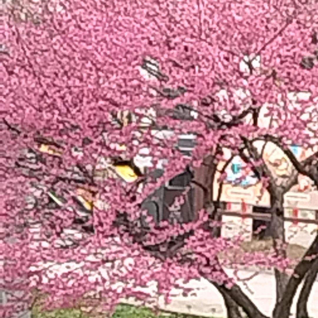寒冰