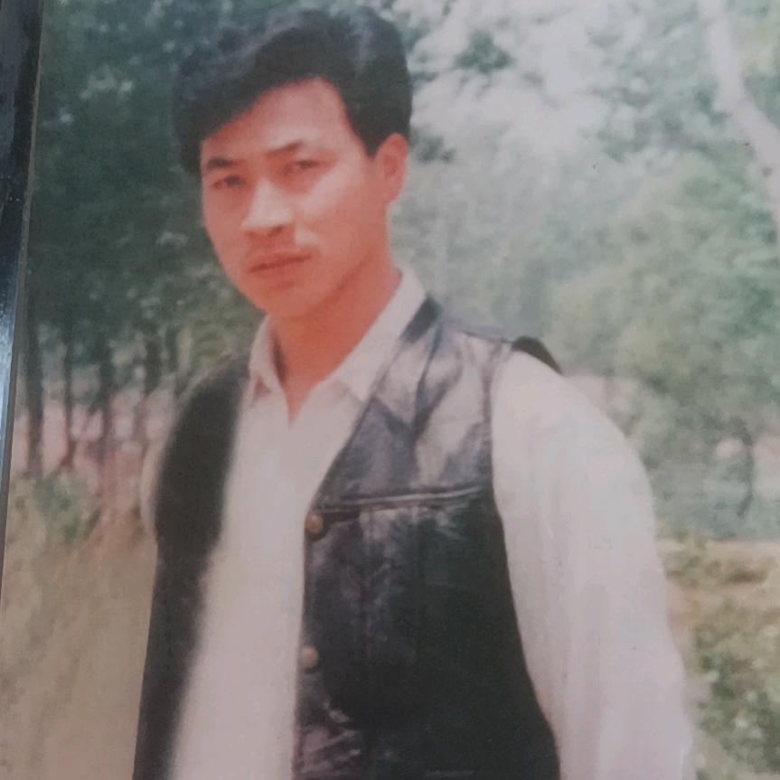 鱼儿游优