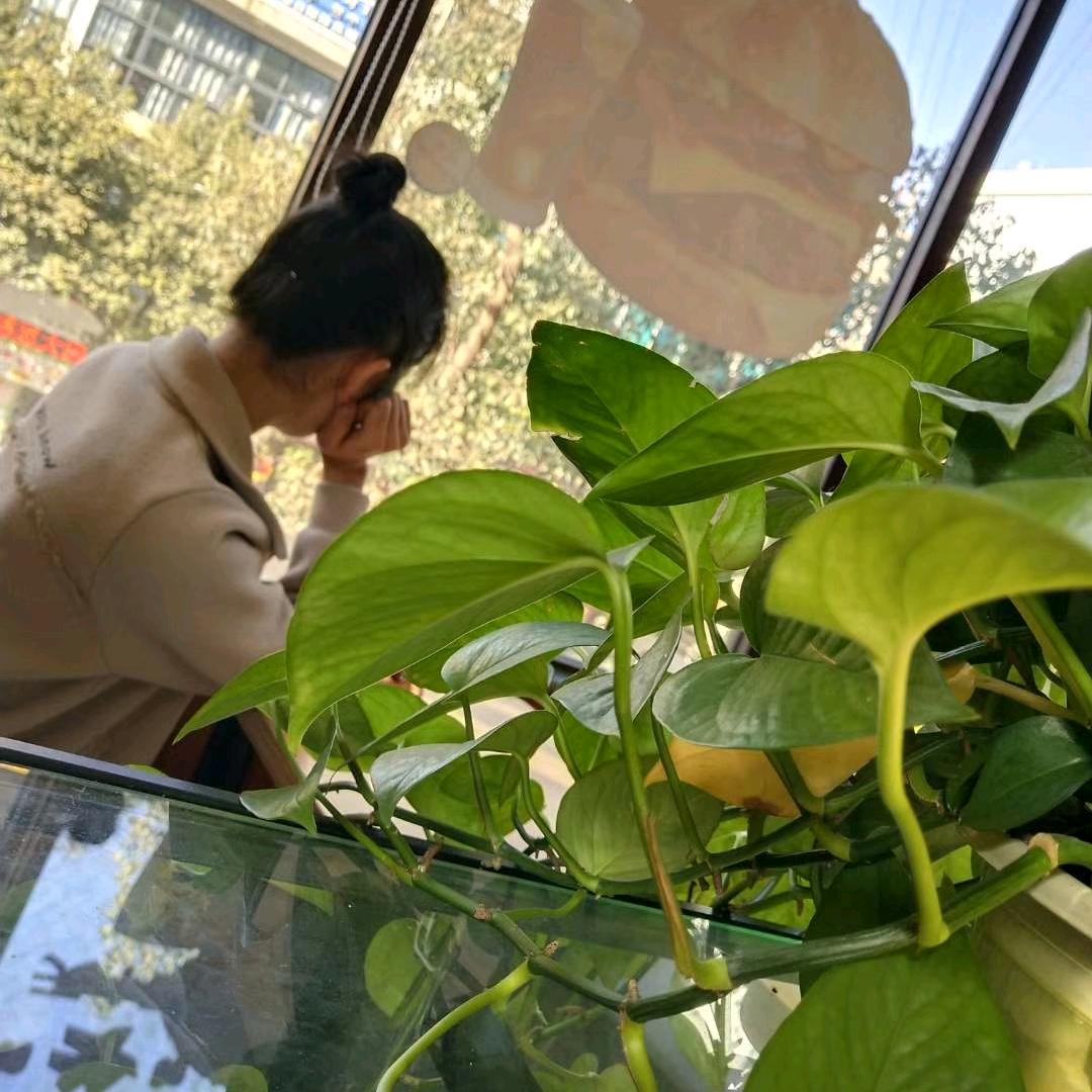 皮皮粥