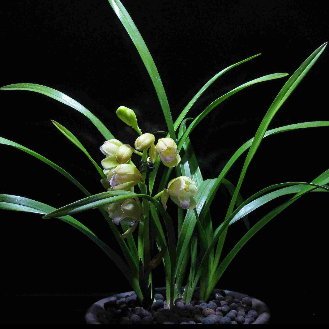 💃💃牛姐🔥🔥