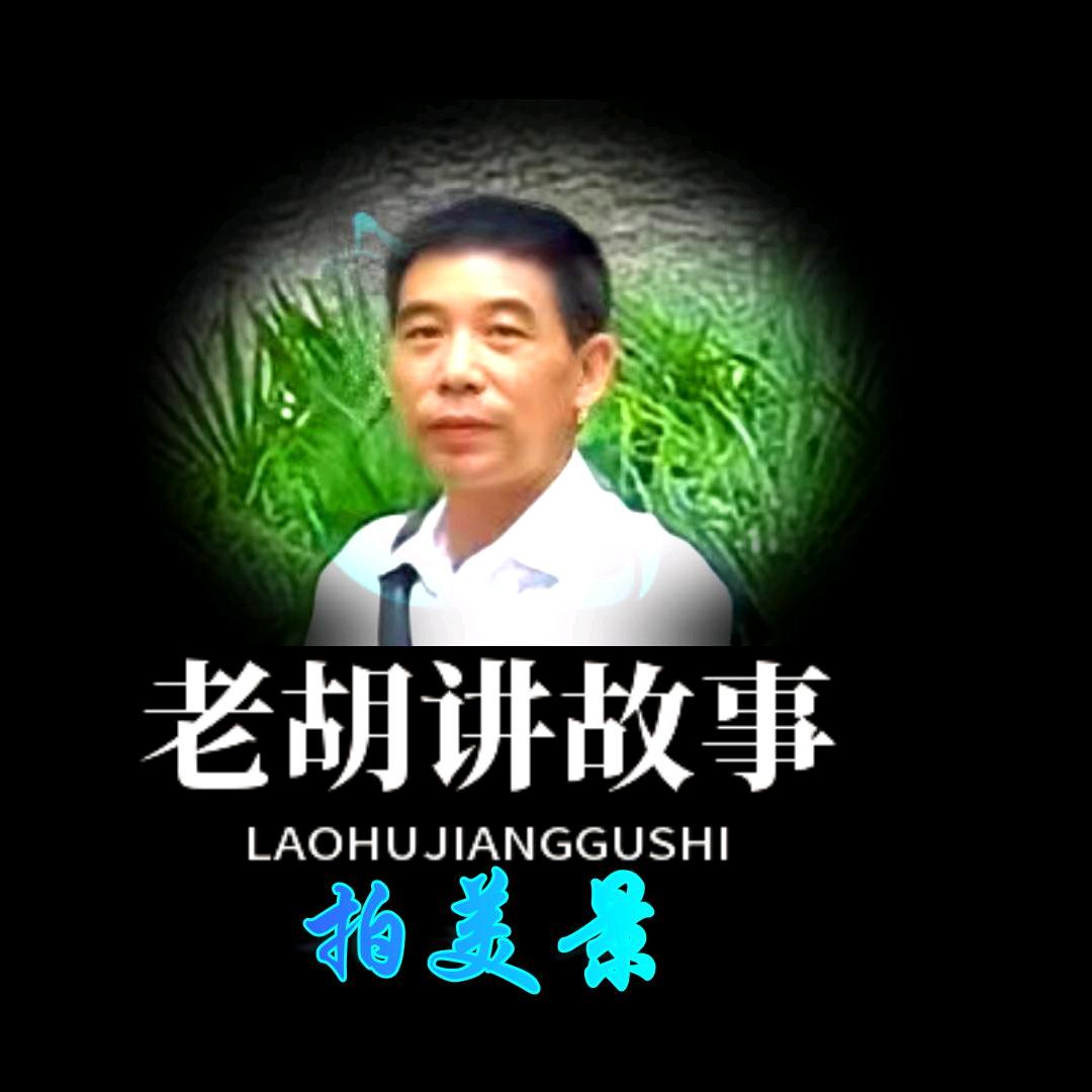 老胡讲故事