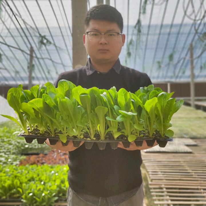 李红超爱种菜
