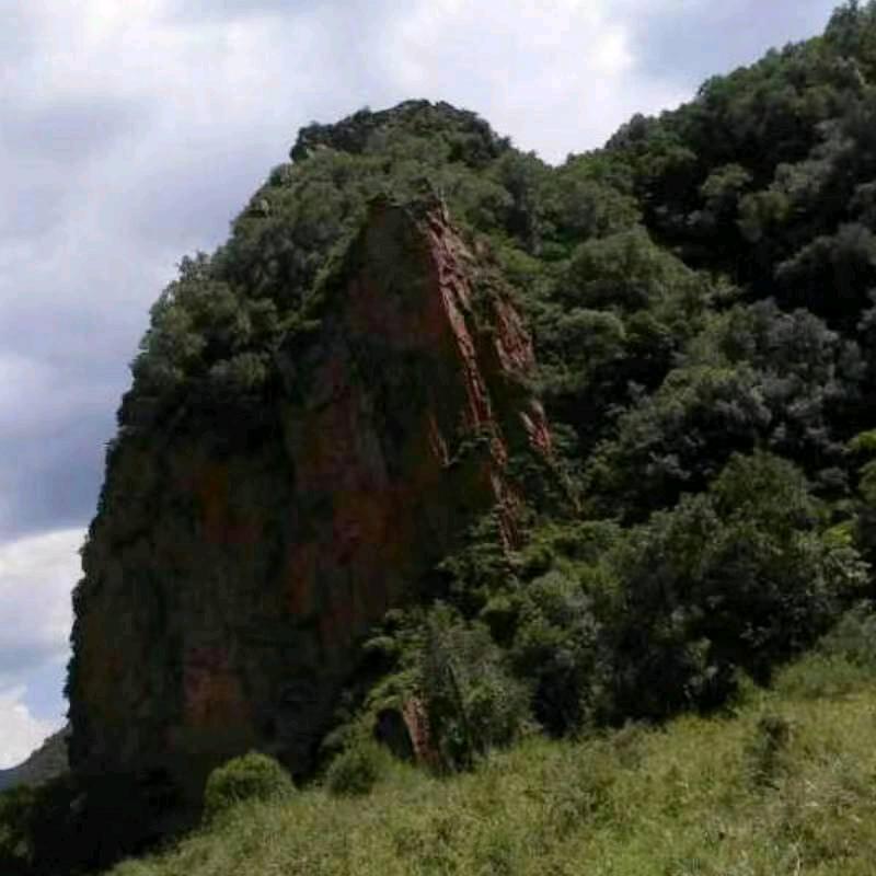 喜欢养牛的，说话