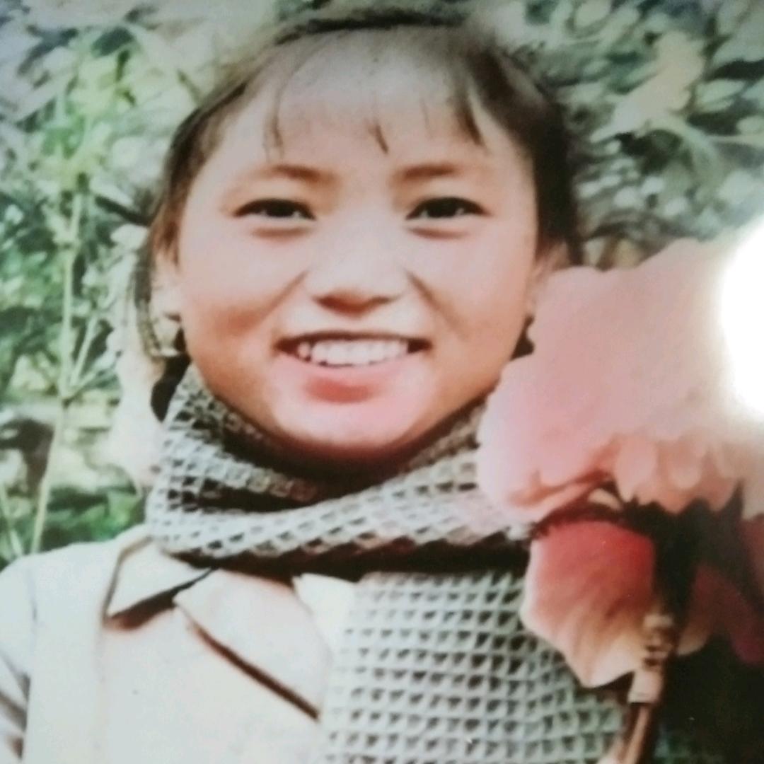 芝