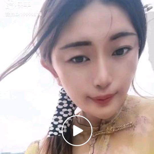 流浪猫！！！！！