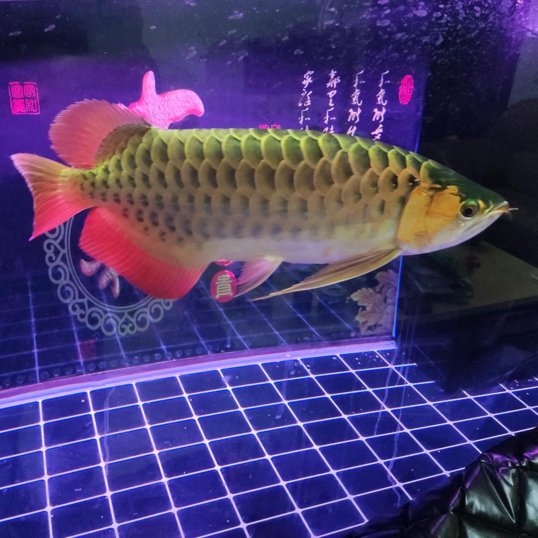 🌧 翱翔⁸¹⁹ 🌧