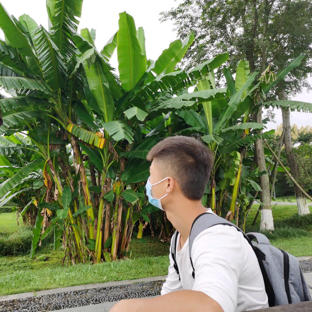 重生之我在新疆当牛马