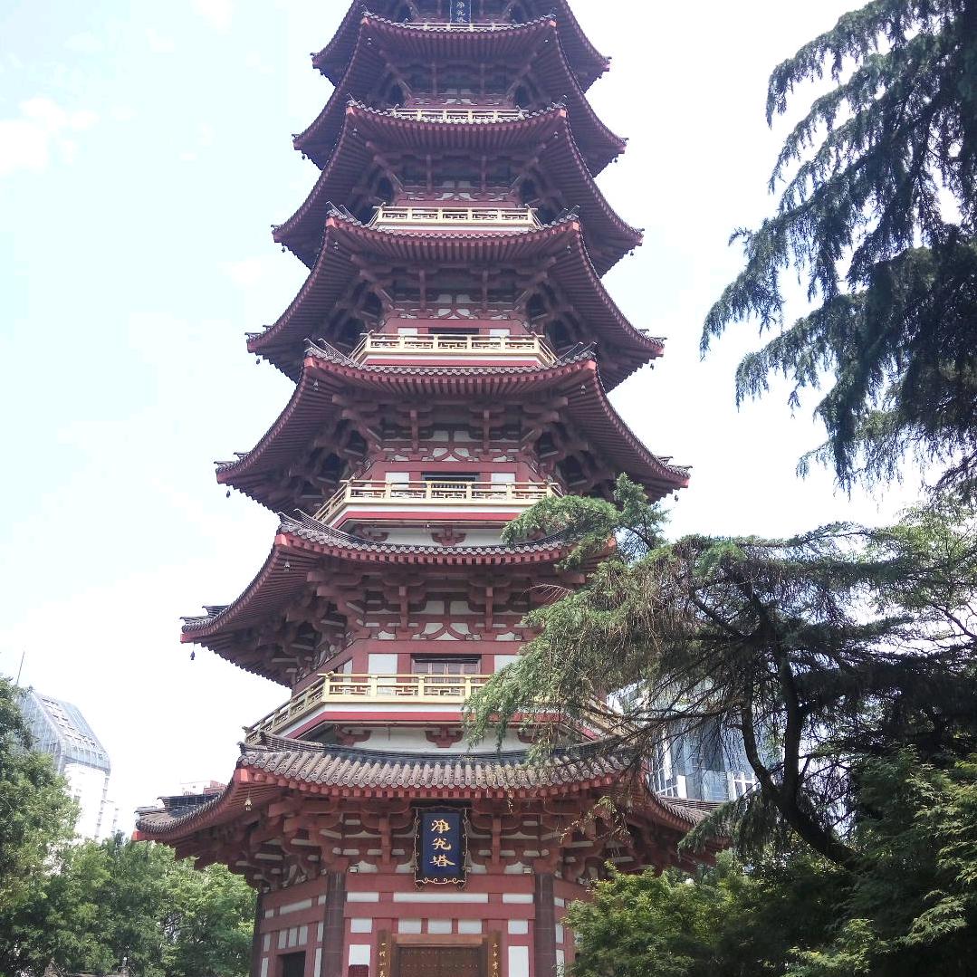 手机用户73462913556