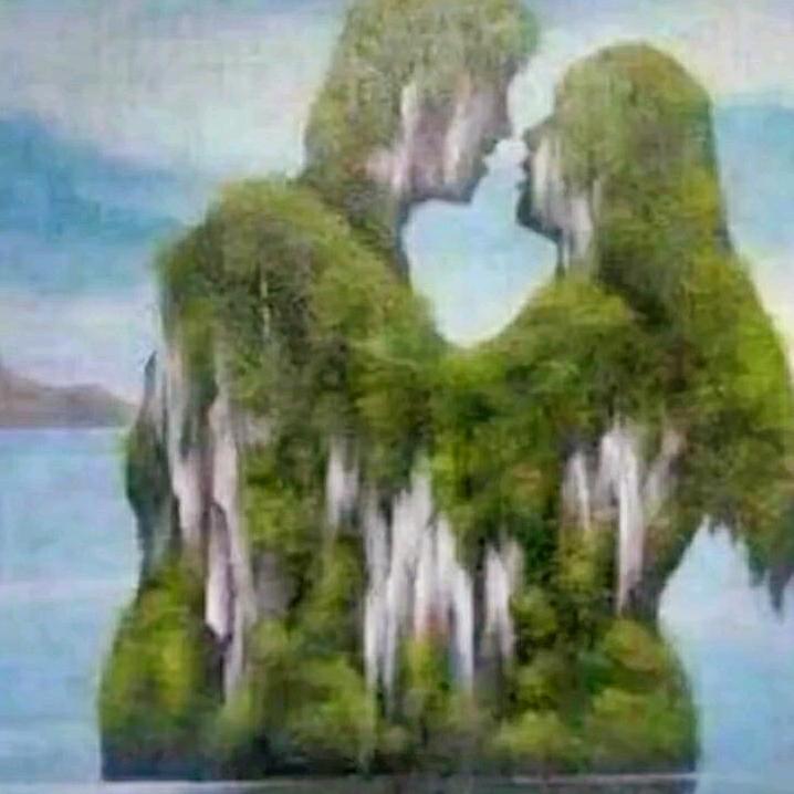 Alanh好男人就是我😁🤣🤣