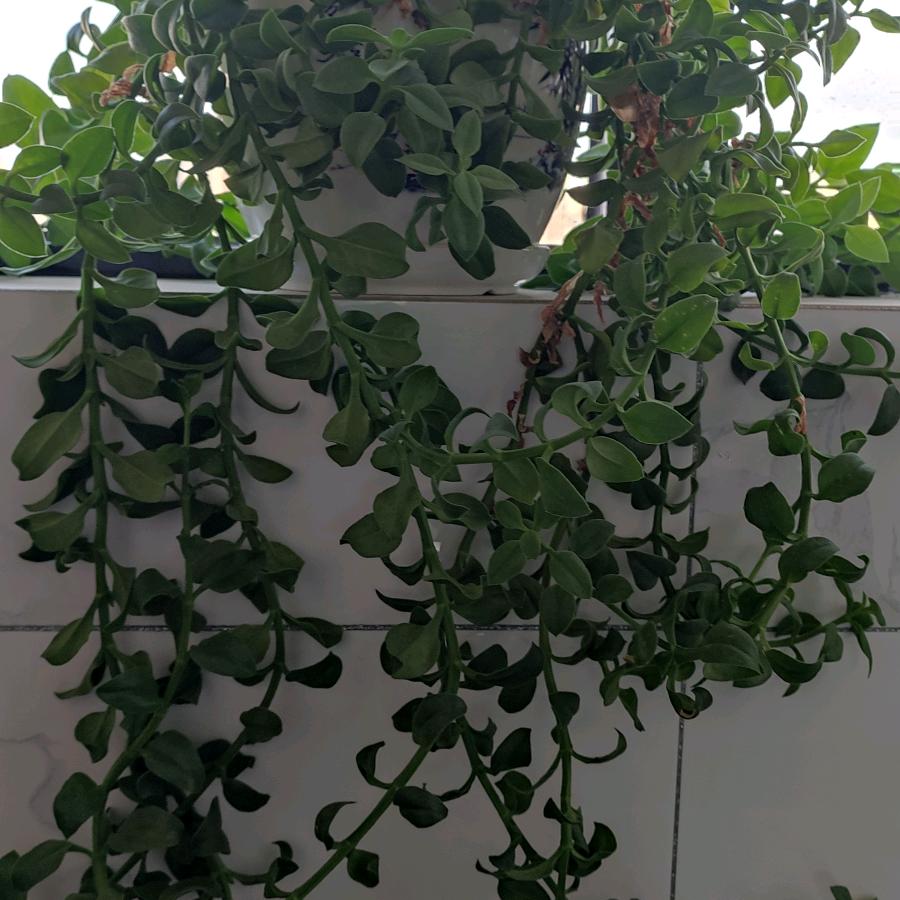 快快乐乐过一生