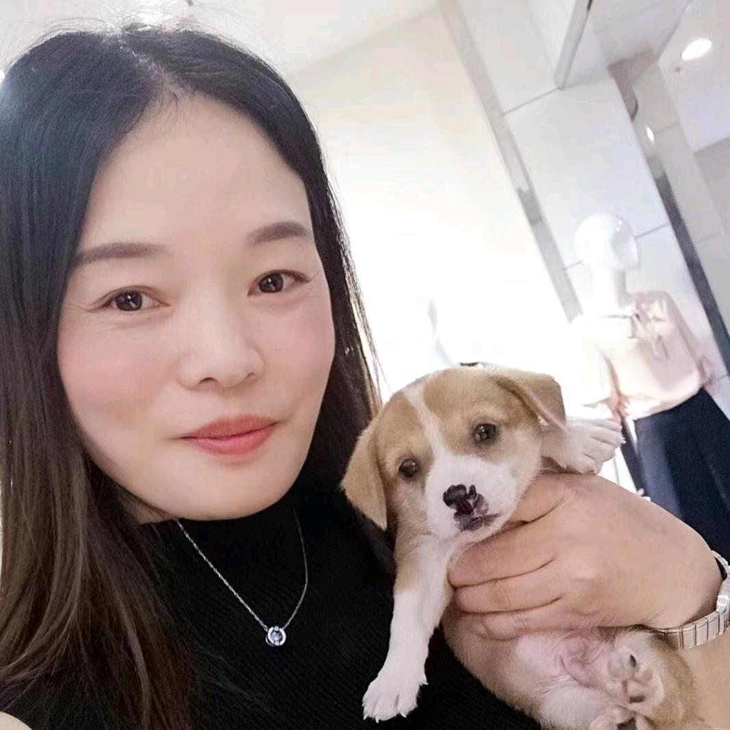 应雪琴品牌女装正好你需要刚好我专业