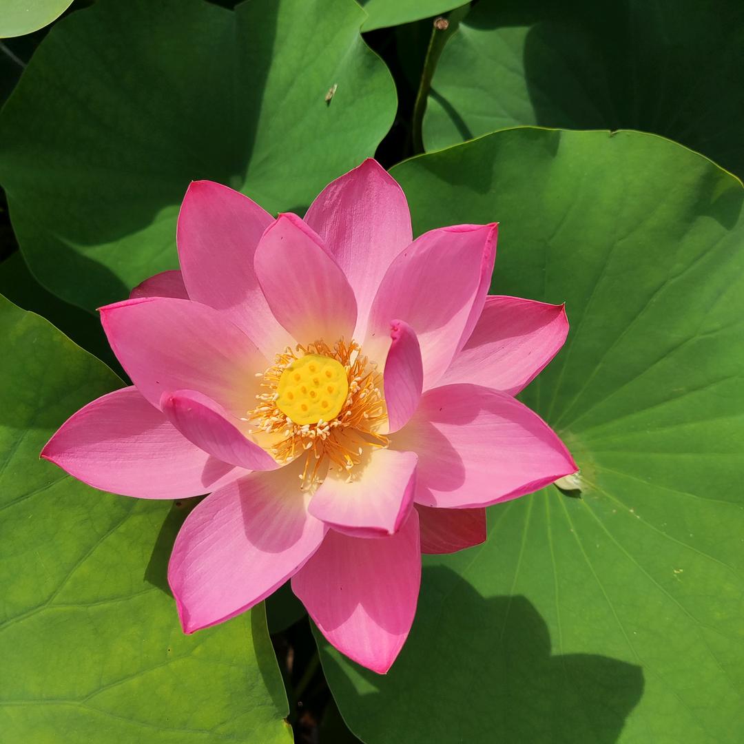 豫浙快运