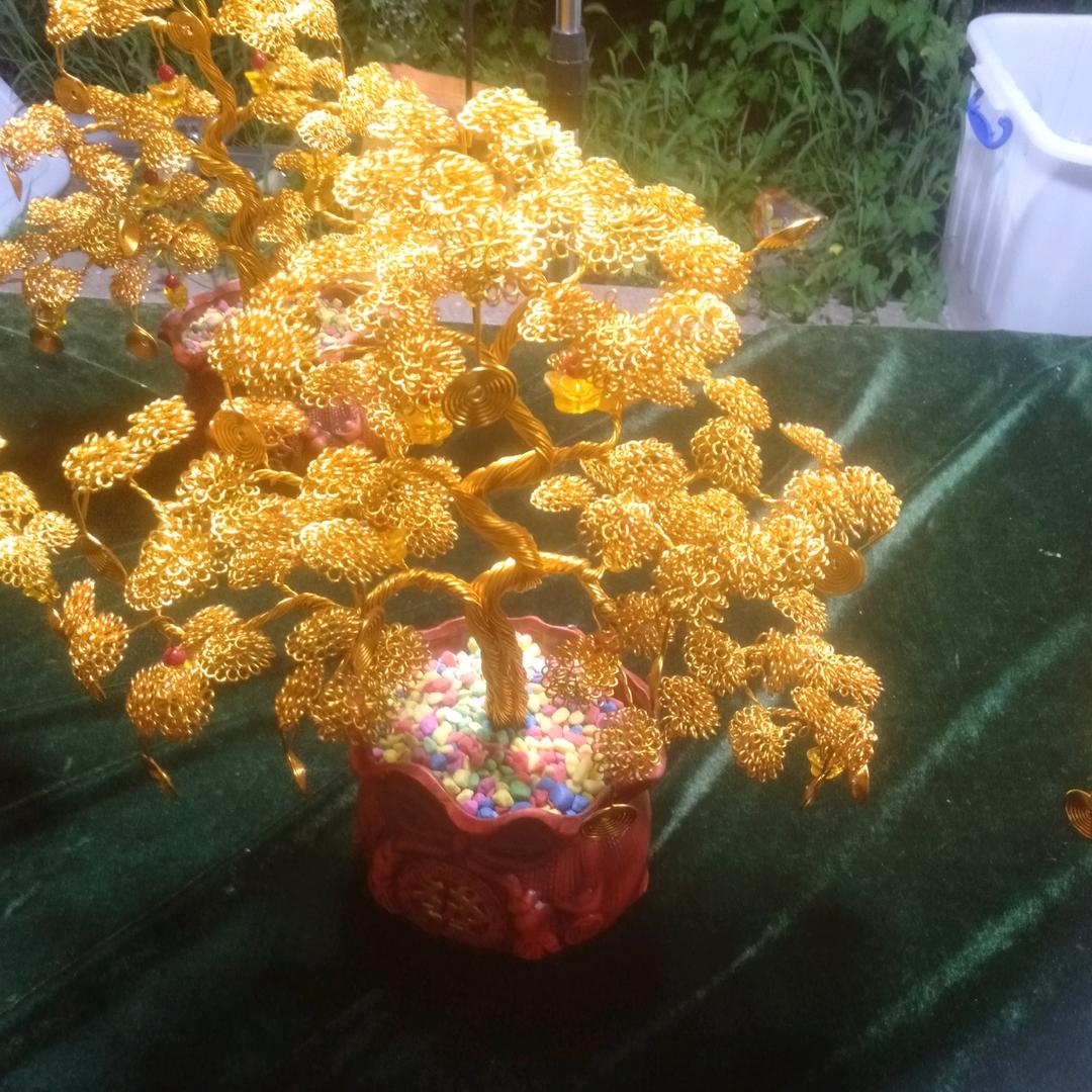 双饼姐