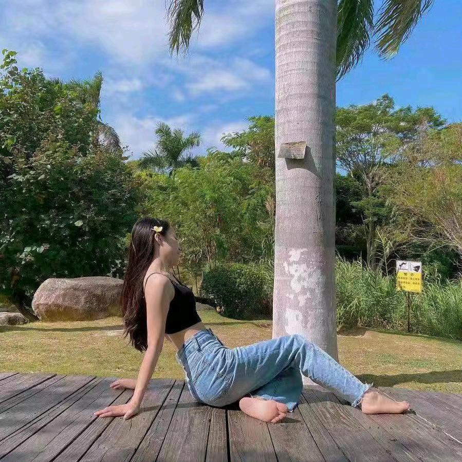 绿植园艺精选