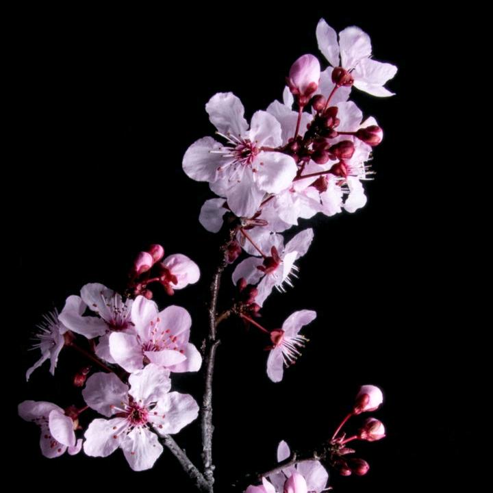 希望每一天都快乐